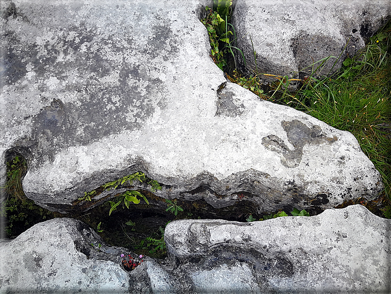 foto Parco nazionale del Burren